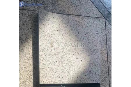 Best price White Granite Tiles 80*80*2cm