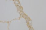 F002
