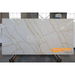 F002 Golden Calacatta