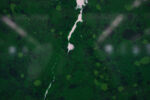 6737M(1)