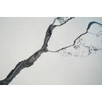 White Calacatta